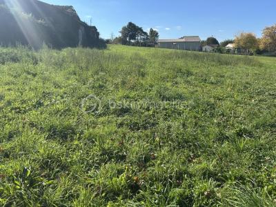 Acheter Terrain 2022 m2 Cercoux