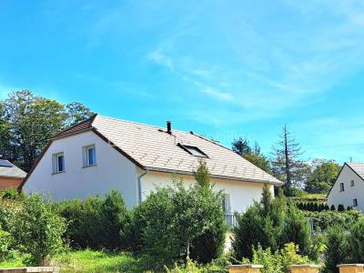 For sale Morbier 6 rooms 130 m2 Jura (39400) photo 0