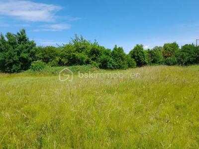 Annonce Vente Terrain Ales 30