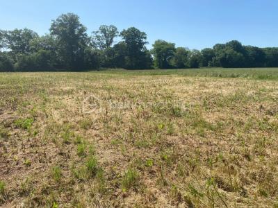 Annonce Vente Terrain Neuville-sur-brenne 37
