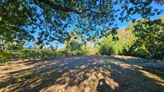 Annonce Vente Terrain Moirax 47