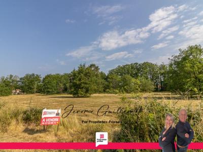 For sale Ferte-imbault 3565 m2 Loir et cher (41300) photo 0