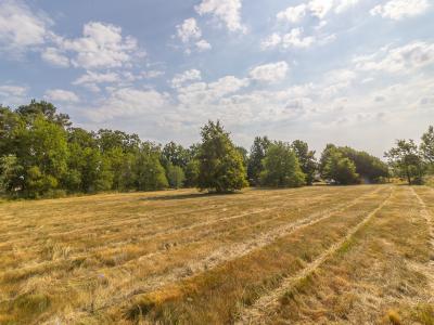 Acheter Terrain 7161 m2 Ferte-imbault