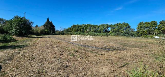 For sale Elne 1 room Pyrenees orientales (66200) photo 0