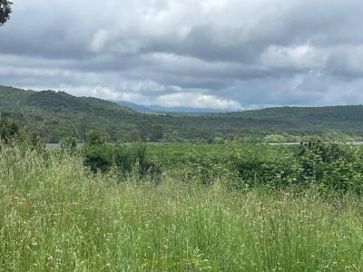 Annonce Vente Terrain Pietroso 20
