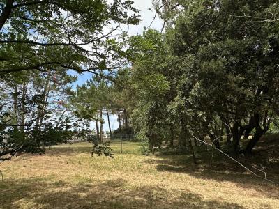 Acheter Maison Saint-georges-de-didonne Charente maritime