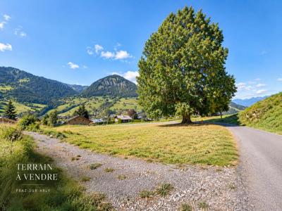 Annonce Vente Terrain Praz-sur-arly 74