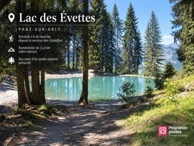 Acheter Terrain Praz-sur-arly 520000 euros