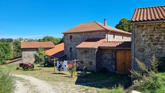 For sale Saint-didier-en-velay 10 rooms 318 m2 Haute loire (43140) photo 0