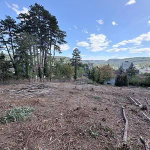 Annonce Vente Terrain Lons-le-saunier 39