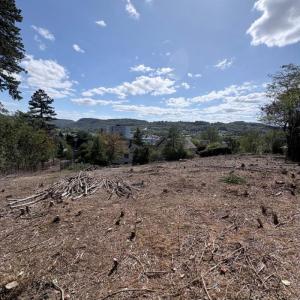 Acheter Terrain Lons-le-saunier Jura