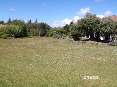 Acheter Terrain 1133 m2 Soustons