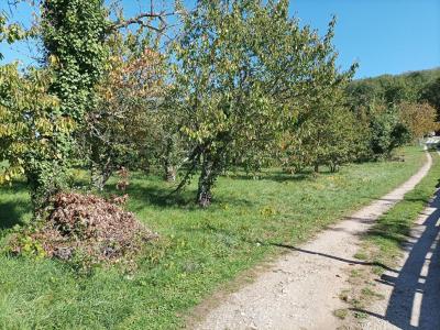 Annonce Vente Terrain Saint-vincent-rive-d'olt 46