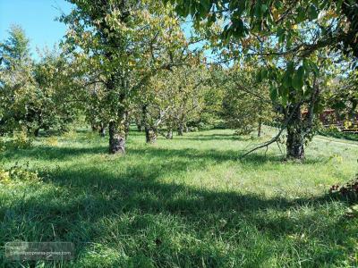 Acheter Terrain 1628 m2 Saint-vincent-rive-d'olt