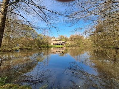 For sale Saint-paul-en-gatine 8 rooms 181 m2 Deux sevres (79240) photo 0