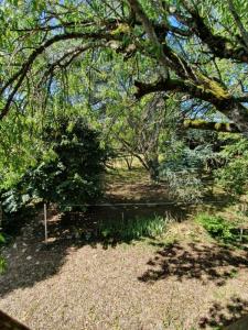 Annonce Vente Terrain Chateauroux 36