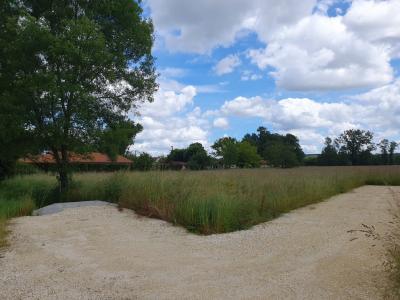 For sale Saint-medard-de-guizieres 740 m2 Gironde (33230) photo 0
