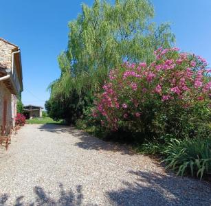 Annonce Location 4 pi�ces Maison Revel 31