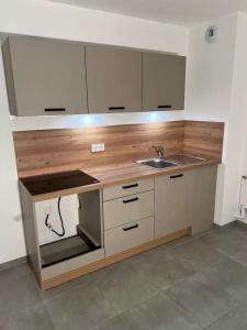 Louer Appartement 44 m2 Nancy