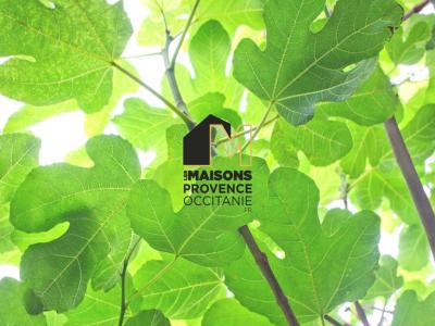 Annonce Vente Terrain Gemenos 13