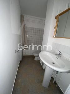 Louer Appartement 26 m2 Sassenage