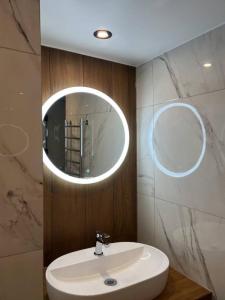 Louer Appartement Lyon-7eme-arrondissement 540 euros