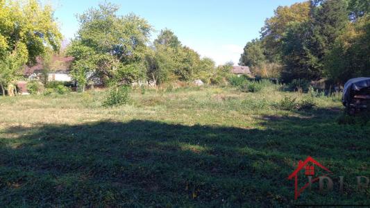 Annonce Vente Terrain Saint-germain-les-arlay 39