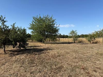 For sale Ruffec 107 m2 Charente (16700) photo 2