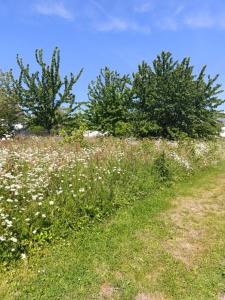 For sale Pleneuf-val-andre 829 m2 Cotes d'armor (22370) photo 0