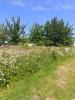For sale Land Pleneuf-val-andre  829 m2