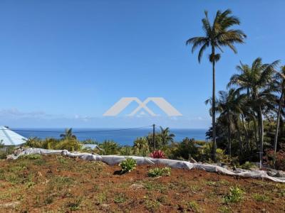 For sale Saint-joseph 530 m2 Reunion (97480) photo 0