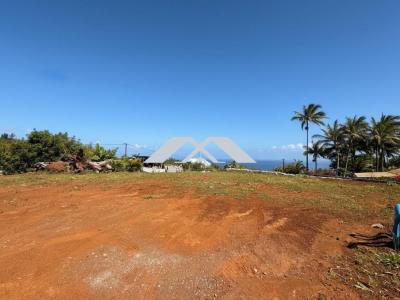 Annonce Vente Terrain Saint-joseph 974