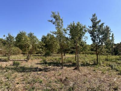 Acheter Terrain 2600 m2 Cabries