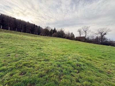 Annonce Vente Terrain Sancey-le-long 25