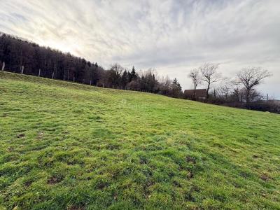 Annonce Vente Terrain Sancey-le-grand 25