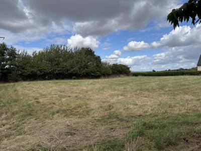 For sale Saint-sulpice-des-landes 1540 m2 Ille et vilaine (35390) photo 0