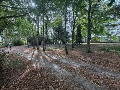 For sale Saint-eloi 5 rooms 195 m2 Nievre (58000) photo 2