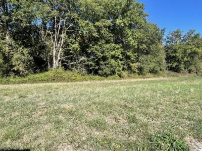 For sale Magnac-sur-touvre 830 m2 Charente (16600) photo 2