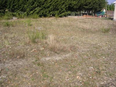 Acheter Terrain 800 m2 Saint-medard-en-jalles
