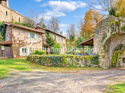 Annonce Vente Prestige Salt-en-donzy 42