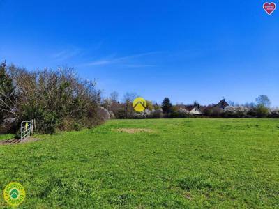 For sale Guerche-sur-l'aubois 9512 m2 Cher (18150) photo 0
