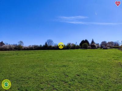 Annonce Vente Terrain Guerche-sur-l'aubois 18