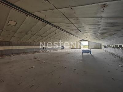 Annonce Vente Commerce Fosse 41