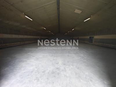 Acheter Commerce Fosse Loir et cher