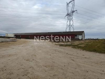 Acheter Commerce Fosse 356400 euros