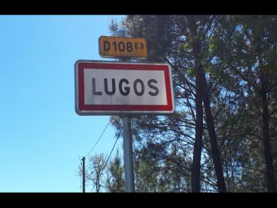 Annonce Vente Terrain Lugos 33