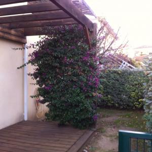 Annonce Location 3 pi�ces Appartement Elne 66
