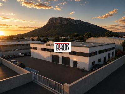 Annonce Vente Commerce Farlede 83