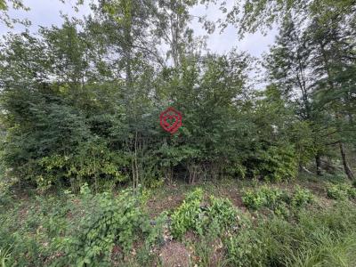 Annonce Vente Terrain Castagnac 31