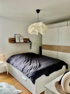 Louer Appartement Strasbourg Bas rhin